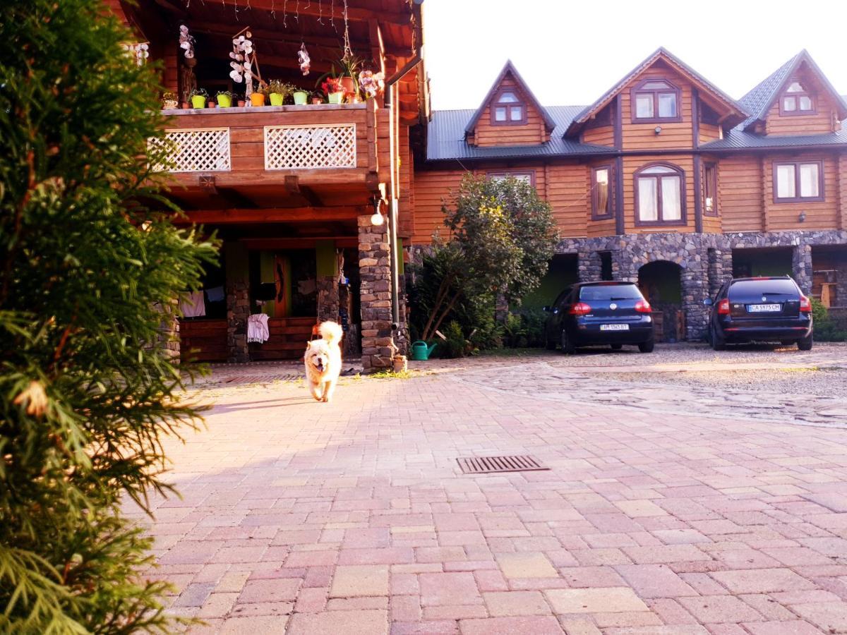 Forest House Guest house
