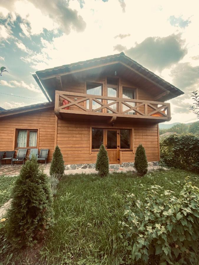 Forest House Guest house *